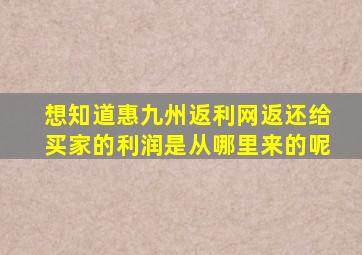 想知道惠九州返利网返还给买家的利润是从哪里来的呢(