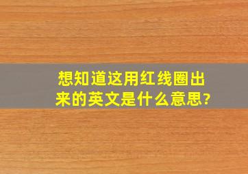 想知道这用红线圈出来的英文是什么意思?