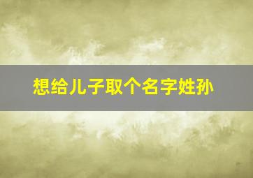 想给儿子取个名字,姓孙