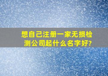 想自己注册一家无损检测公司起什么名字好?