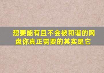 想要能有且不会被和谐的网盘你真正需要的其实是它 