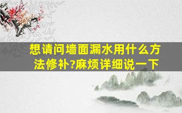 想请问墙面漏水用什么方法修补?麻烦详细说一下。