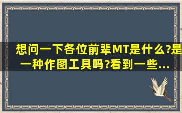 想问一下各位前辈。。。。MT是什么?是一种作图工具吗?看到一些...