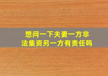 想问一下夫妻一方非法集资,另一方有责任吗