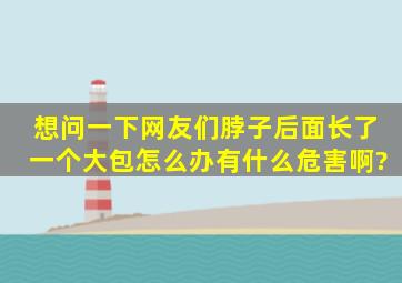 想问一下网友们脖子后面长了一个大包怎么办,有什么危害啊?