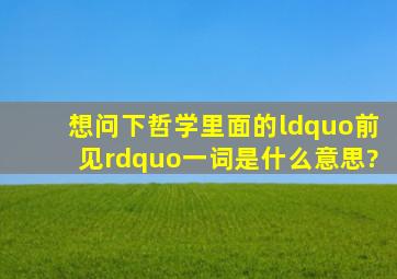 想问下哲学里面的“前见”一词是什么意思?