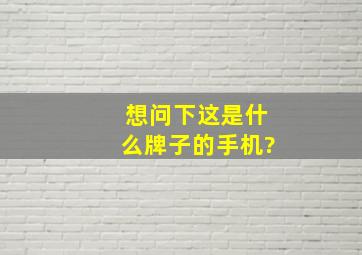 想问下这是什么牌子的手机?