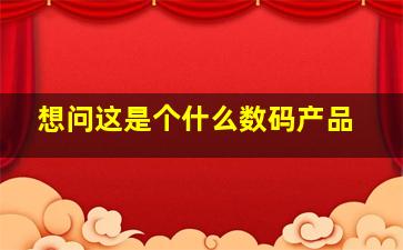 想问这是个什么数码产品