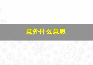 意外什么意思