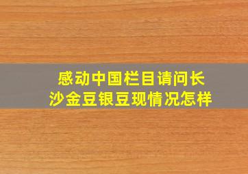 感动中国栏目,请问长沙金豆银豆现情况怎样