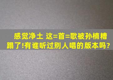 感觉《净土》 这=首=歌被孙楠糟蹋了!有谁听过别人唱的版本吗?