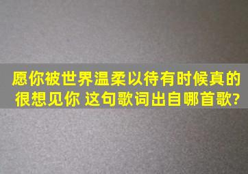 愿你被世界温柔以待,有时候真的很想见你 这句歌词出自哪首歌?