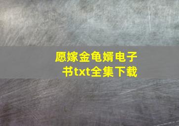 愿嫁金龟婿电子书txt全集下载