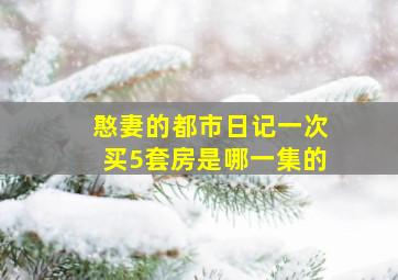 憨妻的都市日记一次买5套房是哪一集的