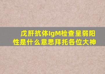 戊肝抗体IgM检查呈弱阳性是什么意思拜托各位大神