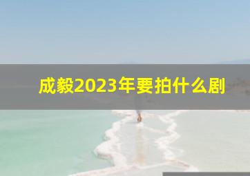 成毅2023年要拍什么剧