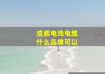 成都电线电缆什么品牌可以