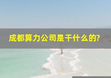 成都算力公司是干什么的?