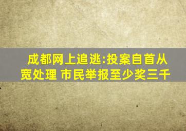 成都网上追逃:投案自首从宽处理 市民举报至少奖三千