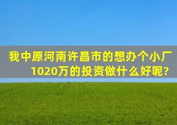 我中原河南许昌市的,想办个小厂,1020万的投资,做什么好呢?