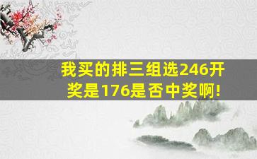 我买的排三组选246开奖是176是否中奖啊!