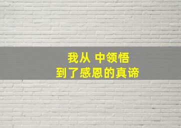 我从 中领悟到了感恩的真谛