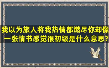 我以为旅人将我热情都燃尽,你却像一张情书感觉很初级,是什么意思?