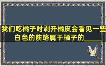 我们吃橘子时,剥开橘皮会看见一些白色的筋络,属于橘子的______