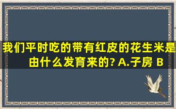 我们平时吃的带有红皮的花生米是由什么发育来的? A.子房 B.胚珠 C....