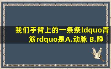 我们手臂上的一条条“青筋”是( ) A.动脉 B.静脉 C.动脉或静脉 D.毛细血