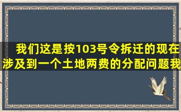 我们这是按103号令拆迁的,现在涉及到一个土地两费的分配问题。我想...