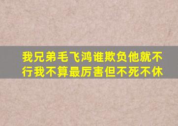 我兄弟毛飞鸿谁欺负他就不行我不算最厉害,但不死不休