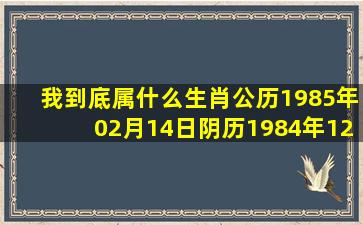 我到底属什么生肖(公历1985年02月14日阴历1984年12月25日