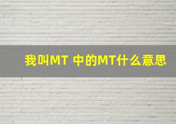 我叫MT 中的MT什么意思