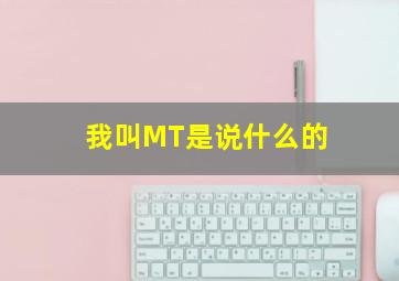 我叫MT是说什么的(