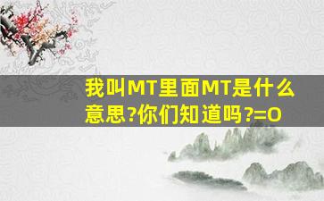 我叫MT里面MT是什么意思?你们知道吗?=O