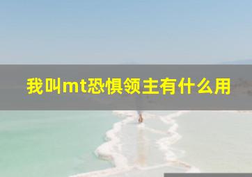 我叫mt恐惧领主有什么用