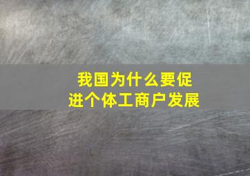 我国为什么要促进个体工商户发展