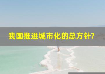 我国推进城市化的总方针?