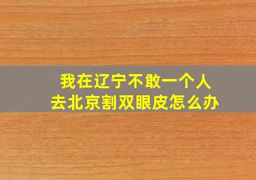 我在辽宁不敢一个人去北京割双眼皮怎么办