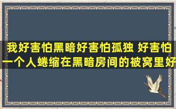 我好害怕黑暗,好害怕孤独 ,好害怕一个人蜷缩在黑暗房间的被窝里,好...