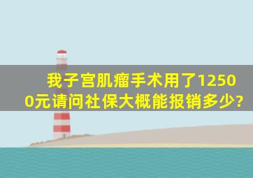 我子宫肌瘤手术用了12500元,请问社保大概能报销多少?