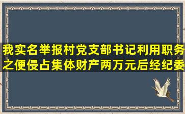 我实名举报村党支部书记利用职务之便侵占集体财产两万元,后经纪委...