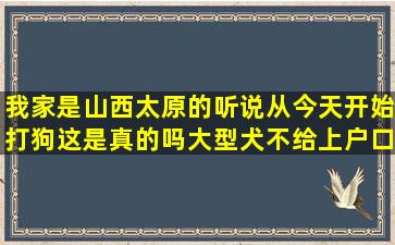 我家是山西太原的听说从今天开始打狗这是真的吗(大型犬不给上户口...