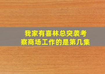 我家有喜林总突袭考察商场工作的是第几集