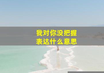 我对你没把握表达什么意思