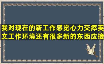 我对现在的新工作感觉心力交瘁,英文工作环境还有很多新的东西应接不