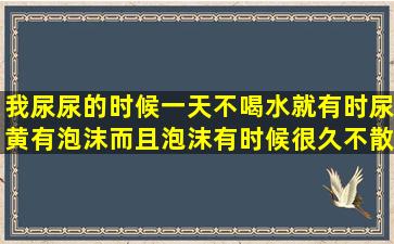 我尿尿的时候一天不喝水就有时尿黄有泡沫而且泡沫有时候很久不散,...