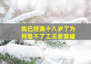 我已经满十八岁了,为何登不了工王者荣耀