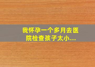 我怀孕一个多月去医院检查孩子太小...